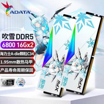 威刚（ADATA）XPG龙耀D500GDDR516G*2海力